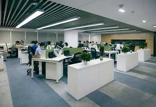 台州商场塑料绿植货源